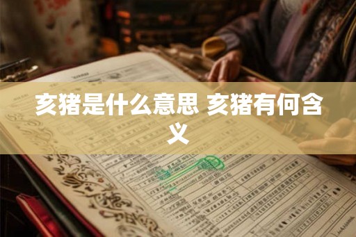 亥猪是什么意思 亥猪有何含义