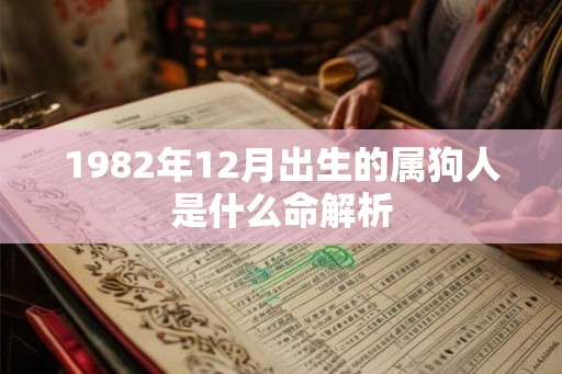 1982年12月出生的属狗人是什么命解析