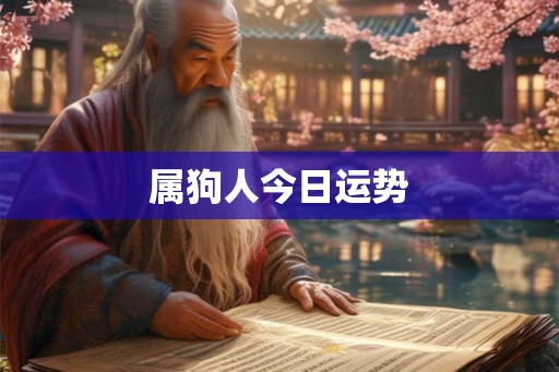 属狗人今日运势