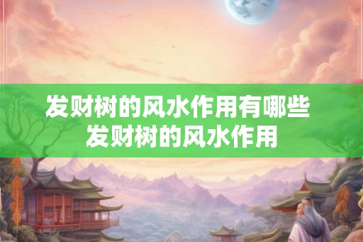 发财树的风水作用有哪些 发财树的风水作用