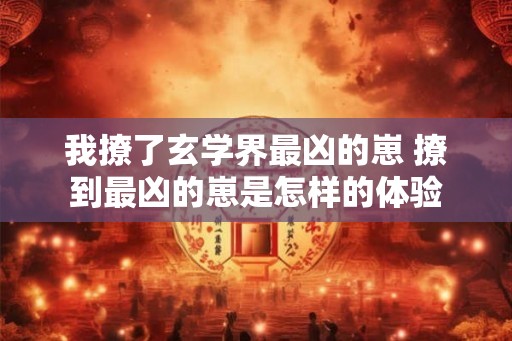 我撩了玄学界最凶的崽 撩到最凶的崽是怎样的体验