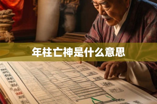 年柱亡神是什么意思