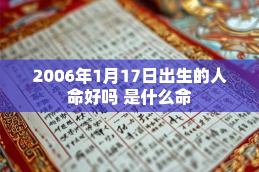2006年1月17日出生的人命好吗 是什么命
