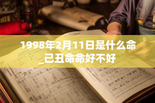 1998年2月11日是什么命_己丑命命好不好