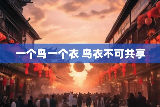 一个鸟一个衣 鸟衣不可共享