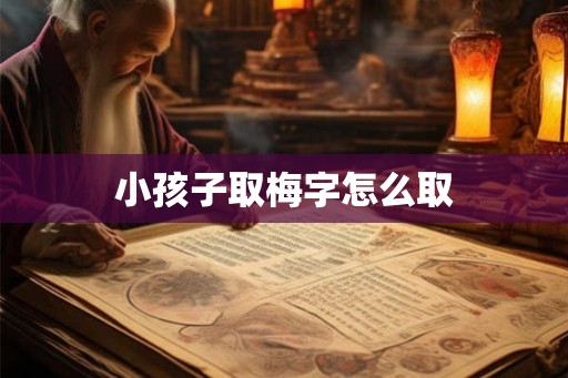 小孩子取梅字怎么取