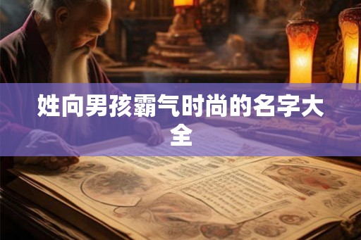 姓向男孩霸气时尚的名字大全