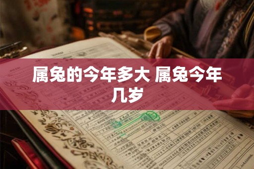 属兔的今年多大 属兔今年几岁 属兔的今年多大 属兔今年几岁