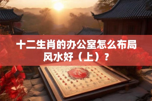 十二生肖的办公室怎么布局风水好（上）？