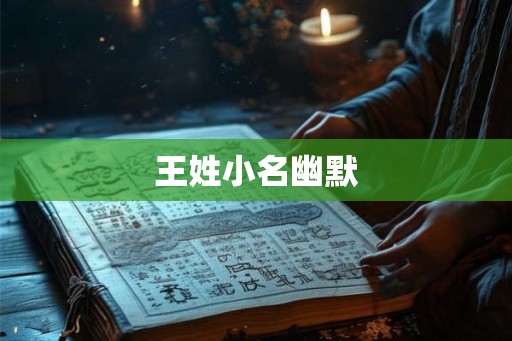 王姓小名幽默