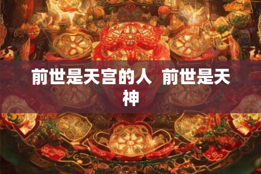 前世是天宫的人  前世是天神