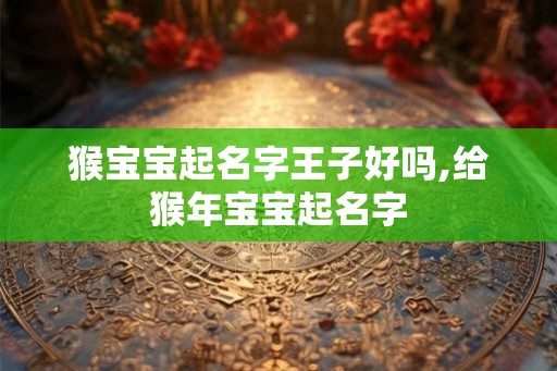 猴宝宝起名字王子好吗,给猴年宝宝起名字