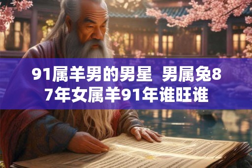 91属羊男的男星  男属兔87年女属羊91年谁旺谁