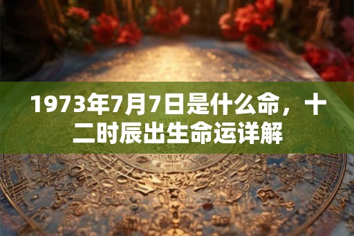 1973年7月7日是什么命，十二时辰出生命运详解