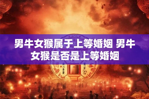 男牛女猴属于上等婚姻 男牛女猴是否是上等婚姻