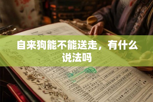 自来狗能不能送走，有什么说法吗