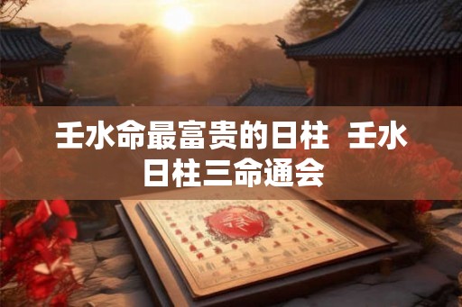 壬水命最富贵的日柱  壬水日柱三命通会