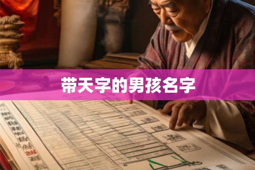 带天字的男孩名字