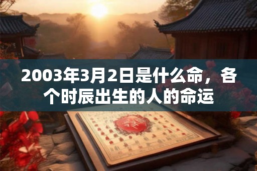 2003年3月2日是什么命，各个时辰出生的人的命运