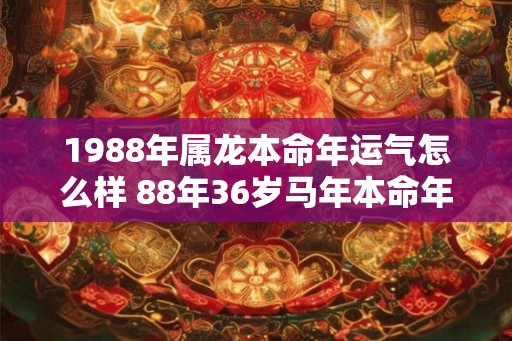 1988年属龙本命年运气怎么样 88年36岁马年本命年财运如何