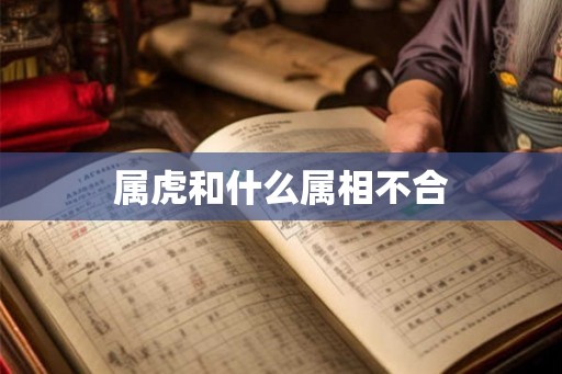 属虎和什么属相不合