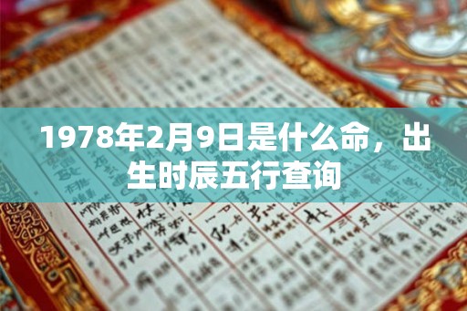 1978年2月9日是什么命，出生时辰五行查询