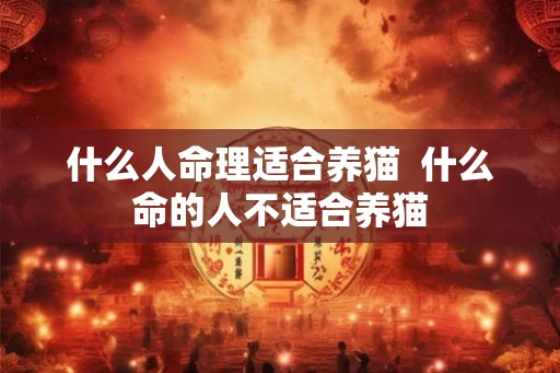 什么人命理适合养猫  什么命的人不适合养猫