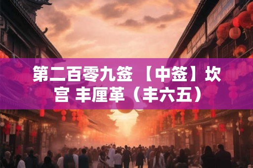 第二百零九签 【中签】坎宫 丰厘革（丰六五）