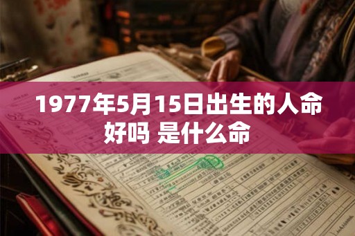 1977年5月15日出生的人命好吗 是什么命
