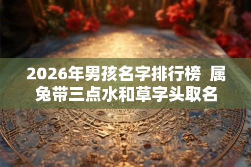 2026年男孩名字排行榜  属兔带三点水和草字头取名