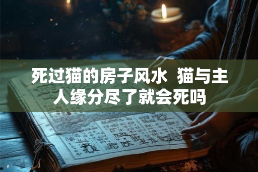 死过猫的房子风水  猫与主人缘分尽了就会死吗