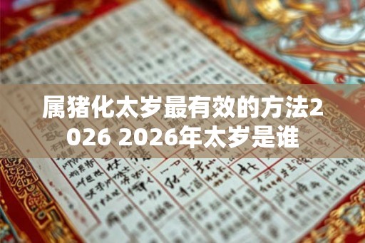 属猪化太岁最有效的方法2026 2026年太岁是谁
