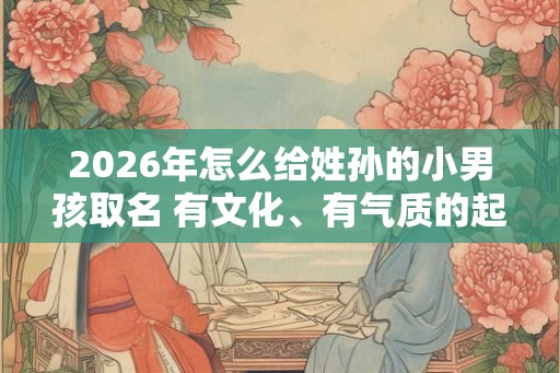 2026年怎么给姓孙的小男孩取名 有文化、有气质的起名大全