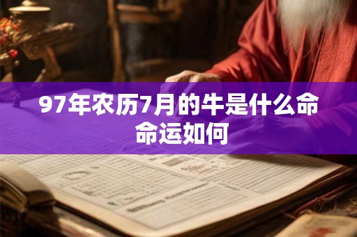 97年农历7月的牛是什么命 命运如何