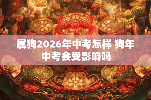 属狗2026年中考怎样 狗年中考会受影响吗
