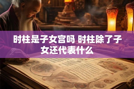 时柱是子女宫吗 时柱除了子女还代表什么