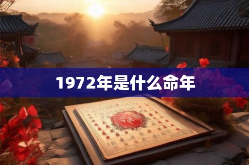 1972年是什么命年