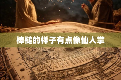 棒槌的样子有点像仙人掌