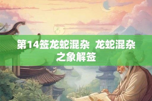 第14签龙蛇混杂  龙蛇混杂之象解签