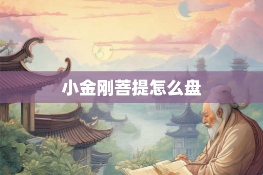 小金刚菩提怎么盘