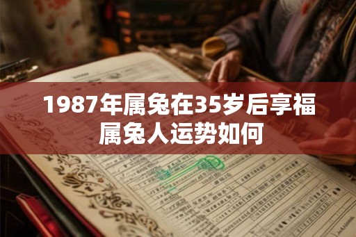 1987年属兔在35岁后享福 属兔人运势如何