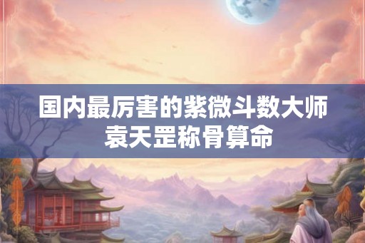 国内最厉害的紫微斗数大师 袁天罡称骨算命 国内最厉害的紫微斗数大师 袁天罡称骨算命