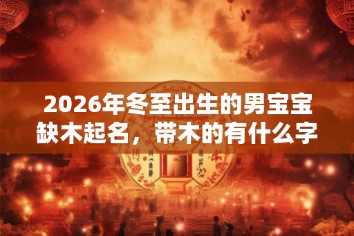 2026年冬至出生的男宝宝缺木起名，带木的有什么字