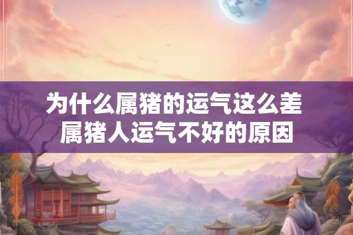 为什么属猪的运气这么差 属猪人运气不好的原因