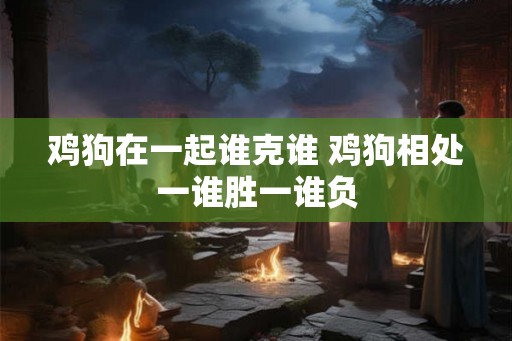 鸡狗在一起谁克谁 鸡狗相处一谁胜一谁负