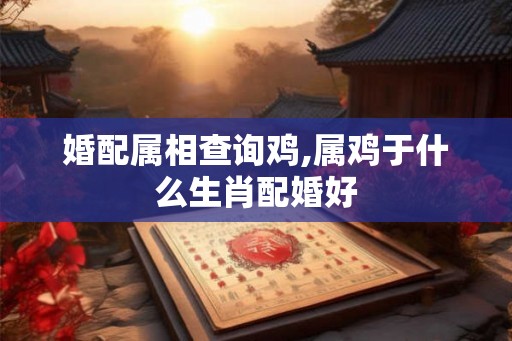 婚配属相查询鸡,属鸡于什么生肖配婚好