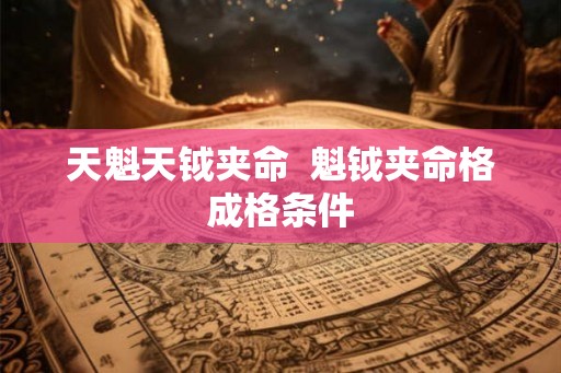 天魁天钺夹命  魁钺夹命格成格条件