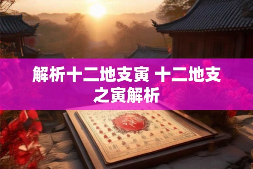 解析十二地支寅 十二地支之寅解析