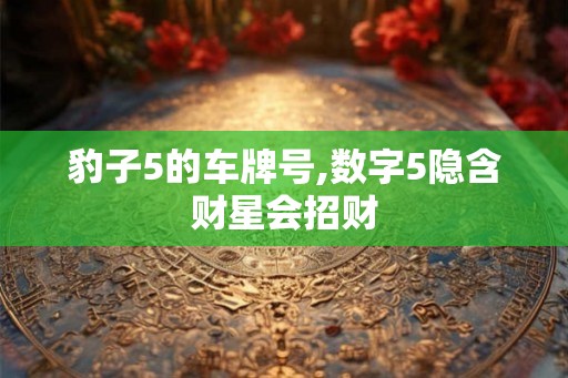 豹子5的车牌号,数字5隐含财星会招财