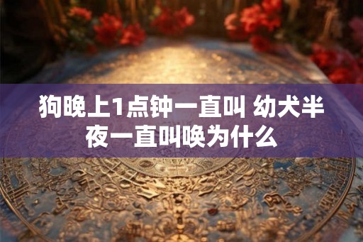 狗晚上1点钟一直叫 幼犬半夜一直叫唤为什么
